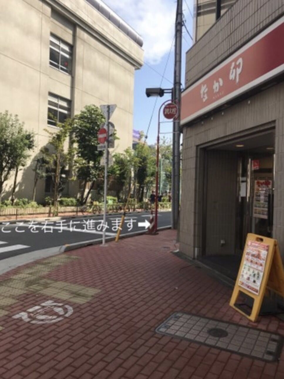 S__80158781